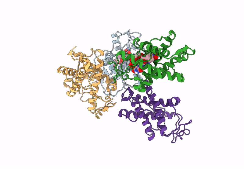 9L9B image