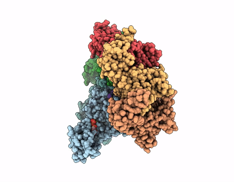 9L9H image