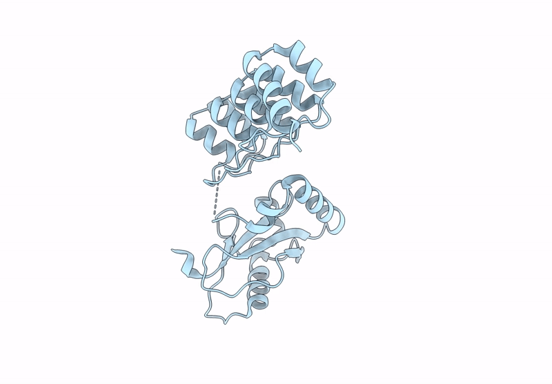 9L9I image