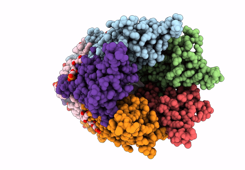 9LBA image