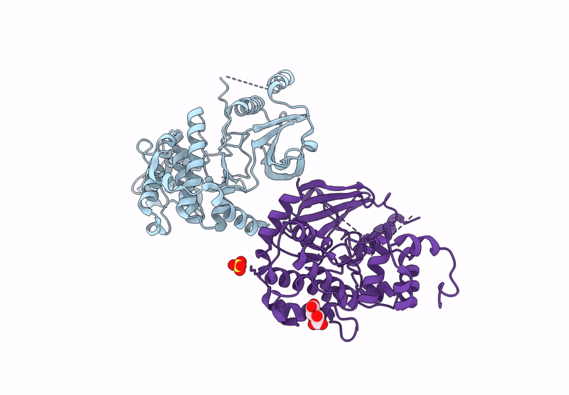 9LBG image