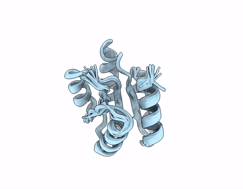 9LBR image