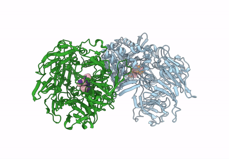 9LBT image