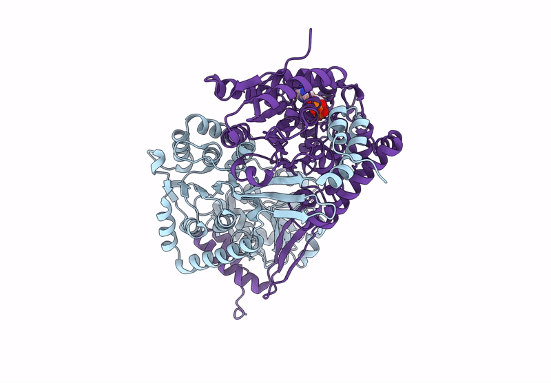 9LBV image