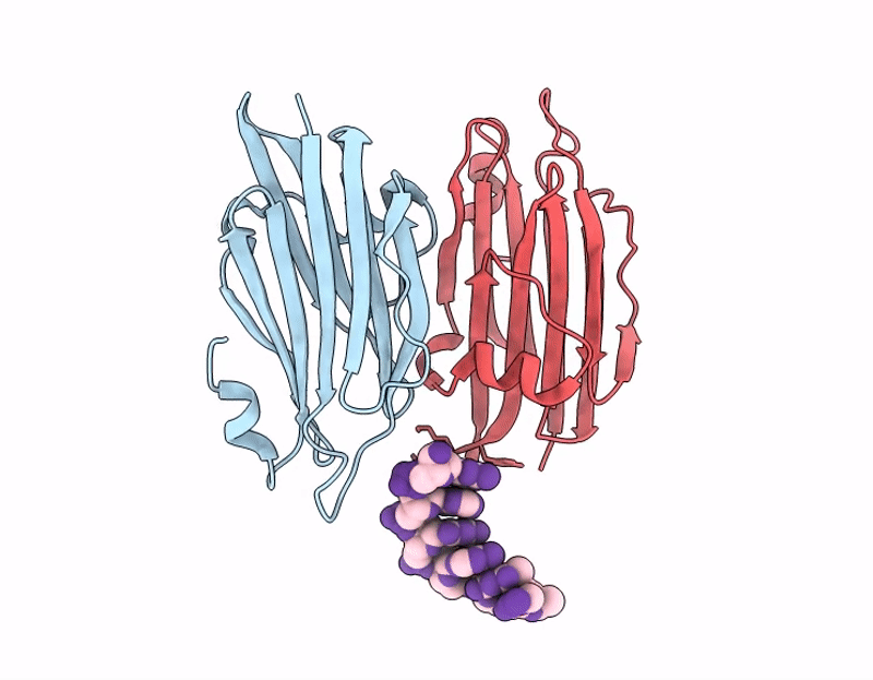 9LCM image