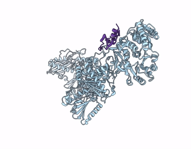 9LCQ image