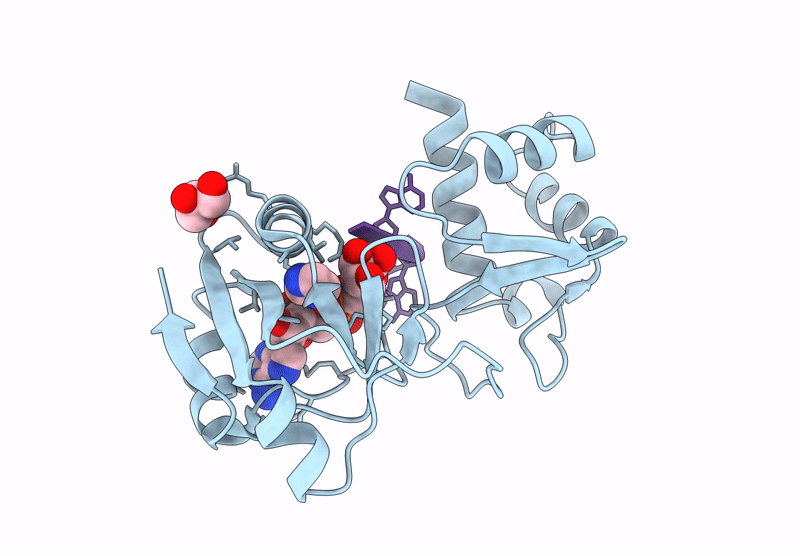 9LDA image