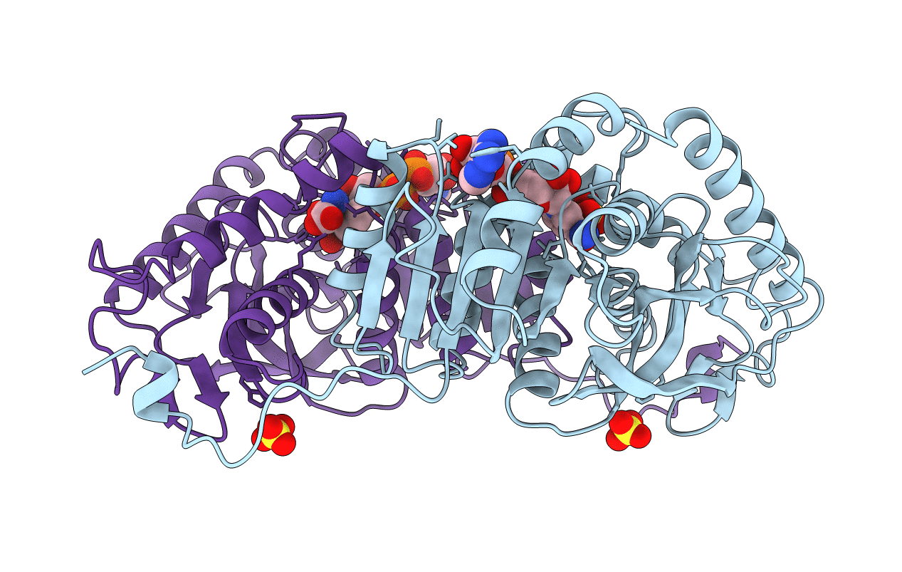 9LDB image
