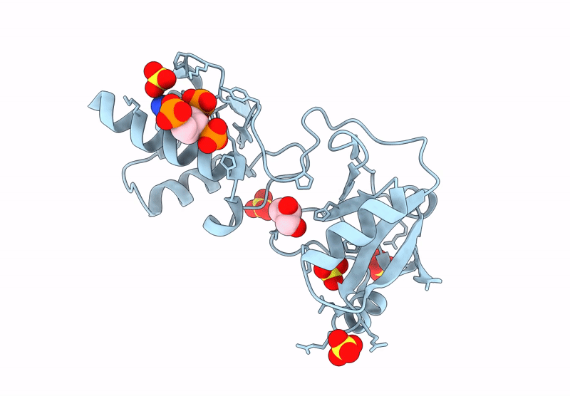 9LDI image