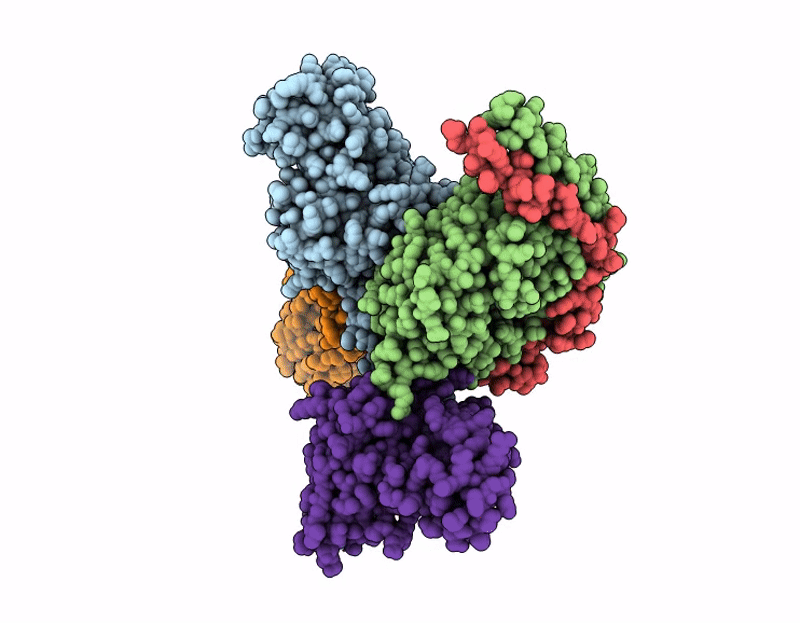 9LDV image