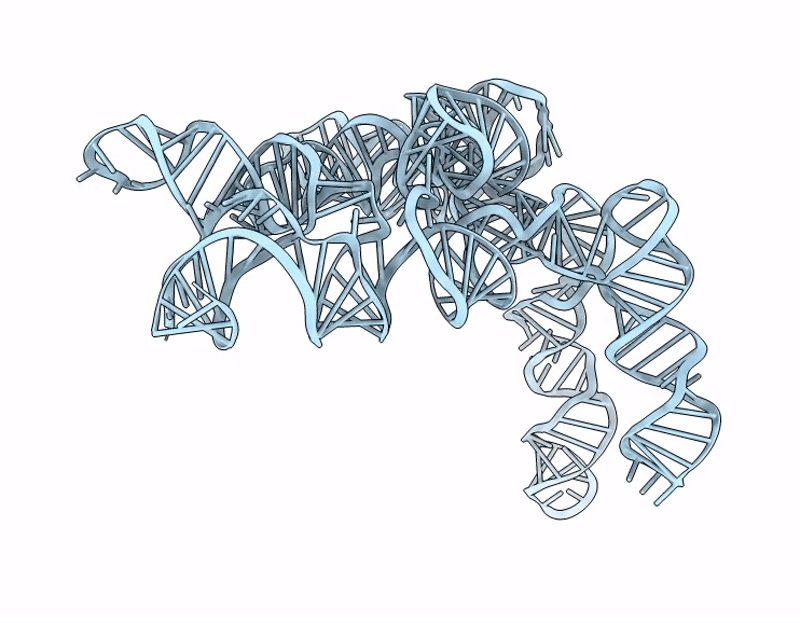 9LEC image