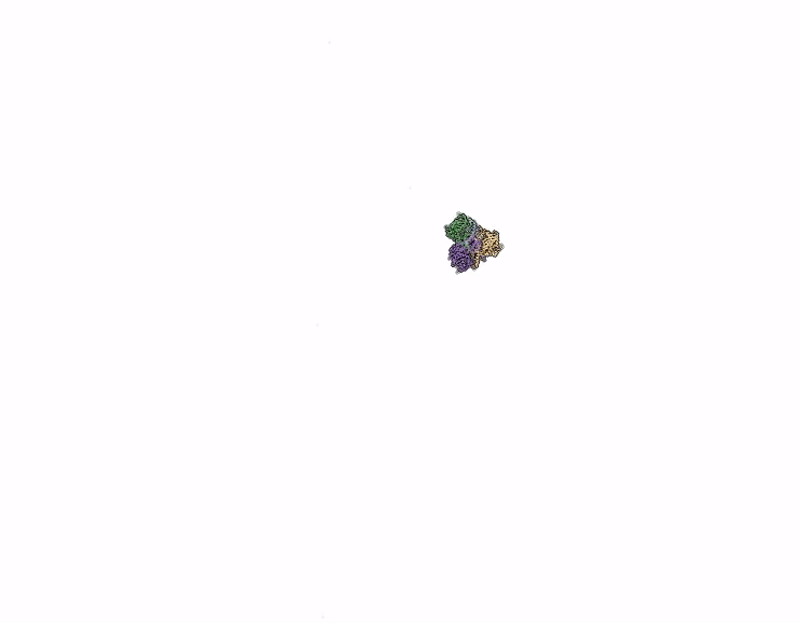 9LFT image