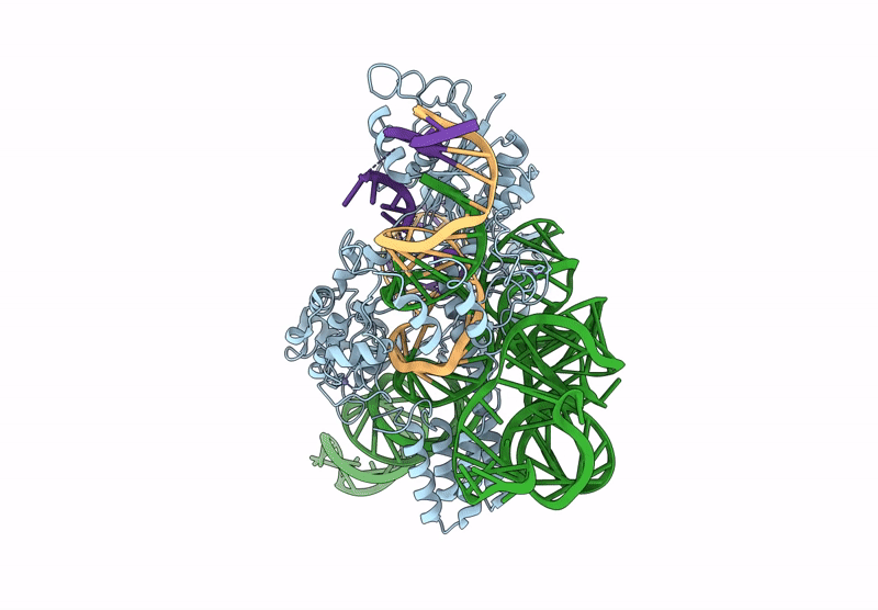 9LGI image
