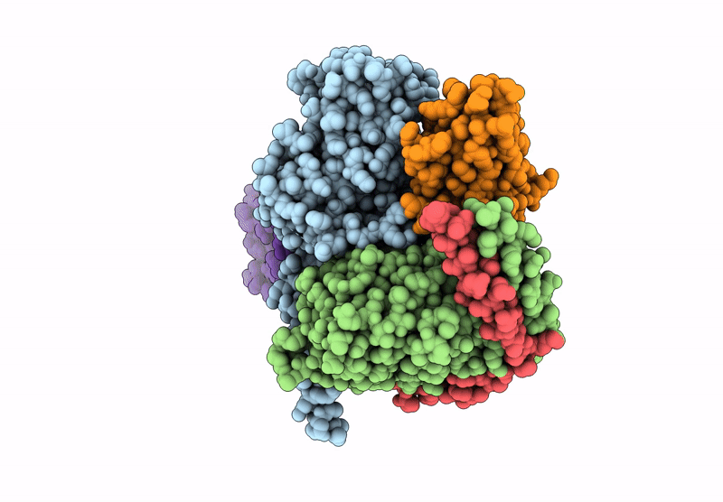 9LGM image