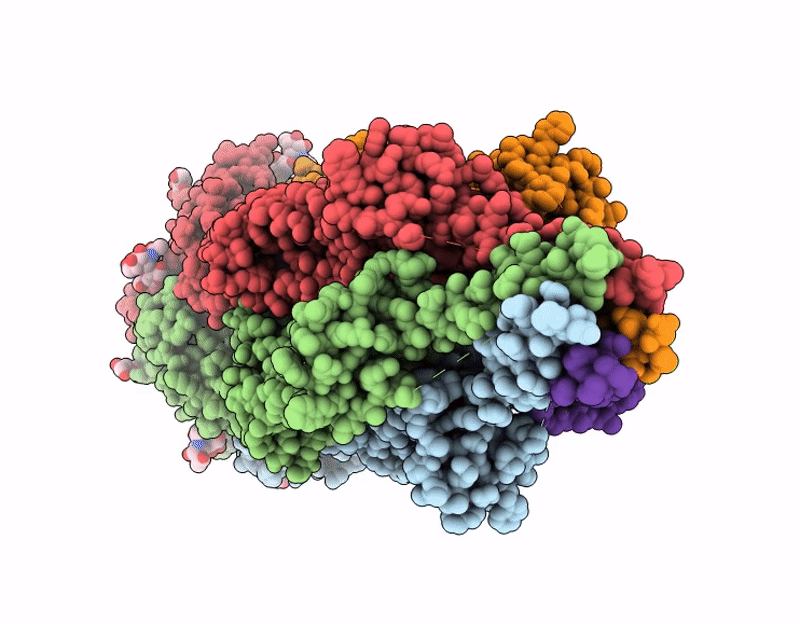 9LHA image