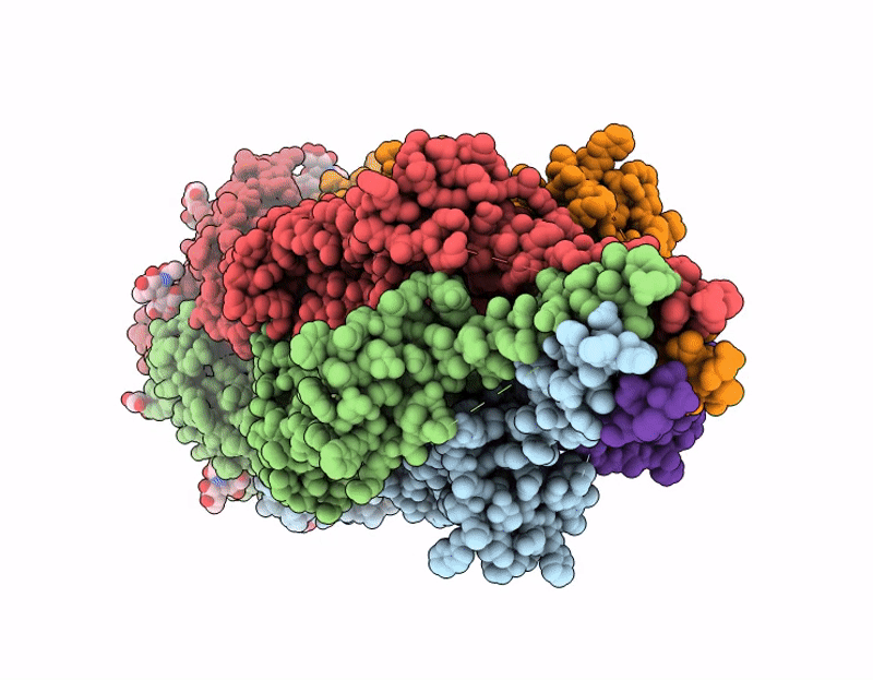 9LHB image