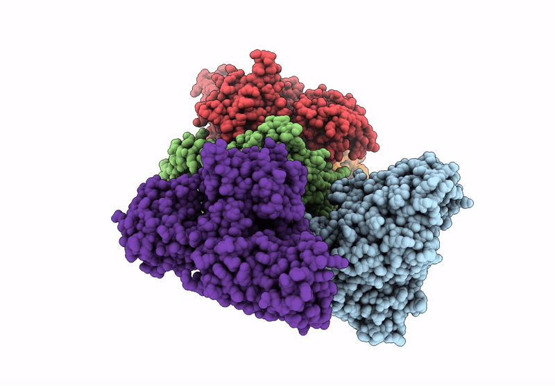 9LHW image