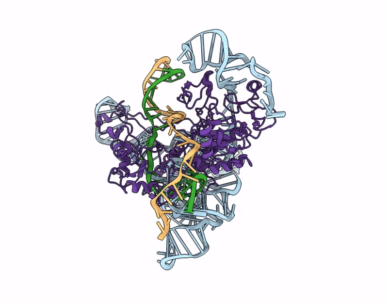9LIR image