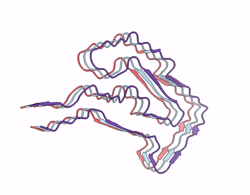 9LIV image