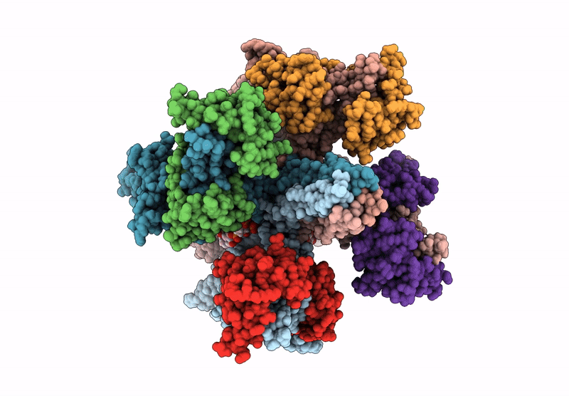 9LJ1 image