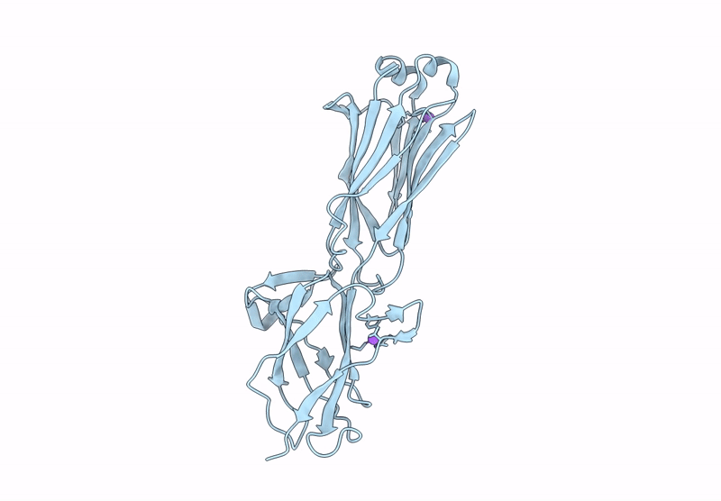 9LJ6 image