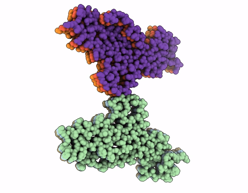 9LJB image