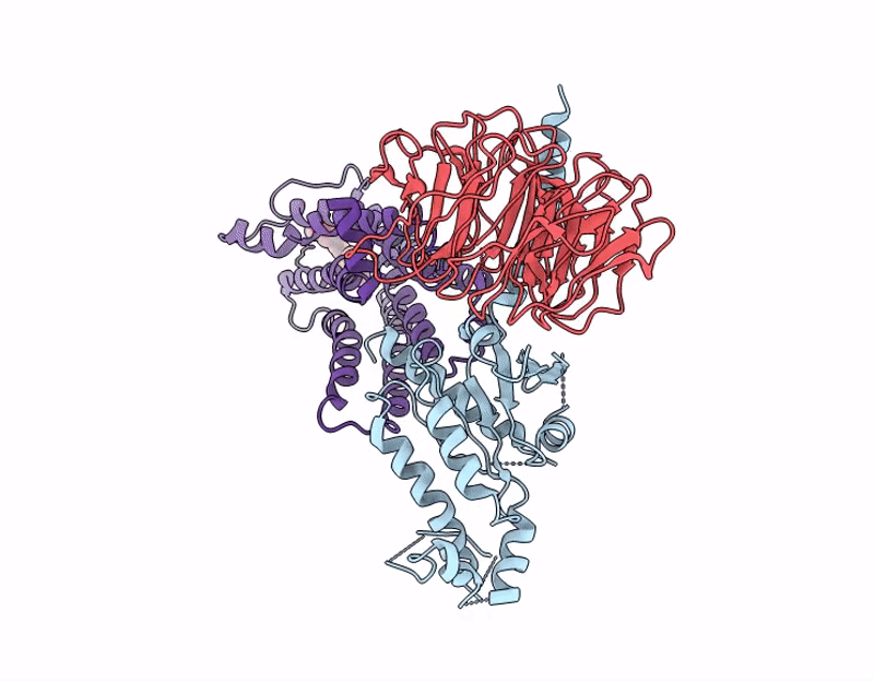 9LKB image