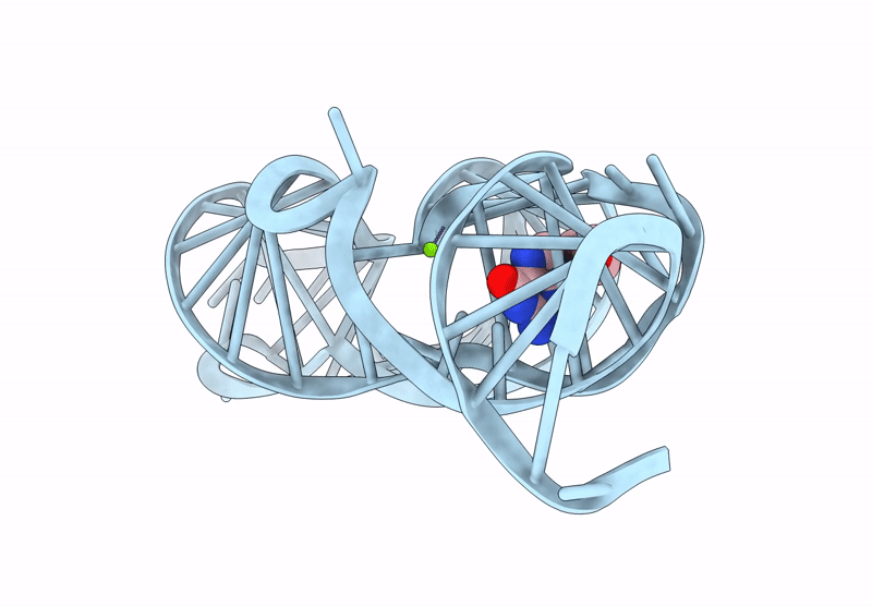 9LKC image