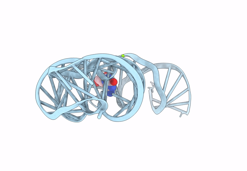 9LKV image
