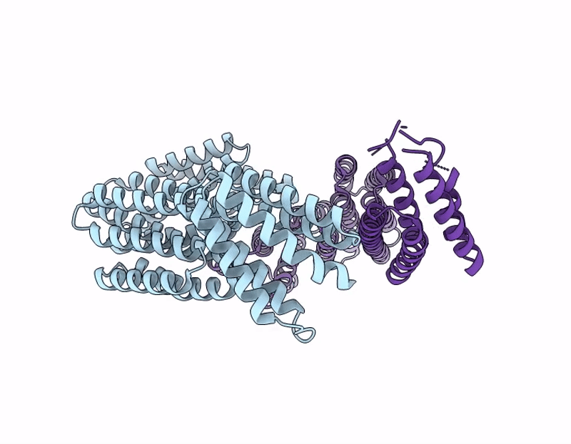 9LM9 image