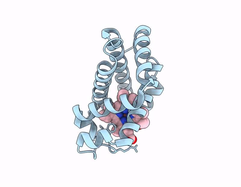 9LMB image