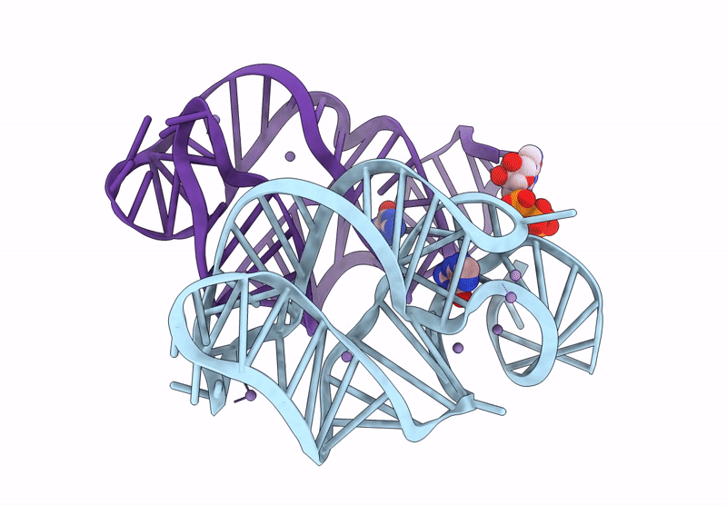 9LMC image