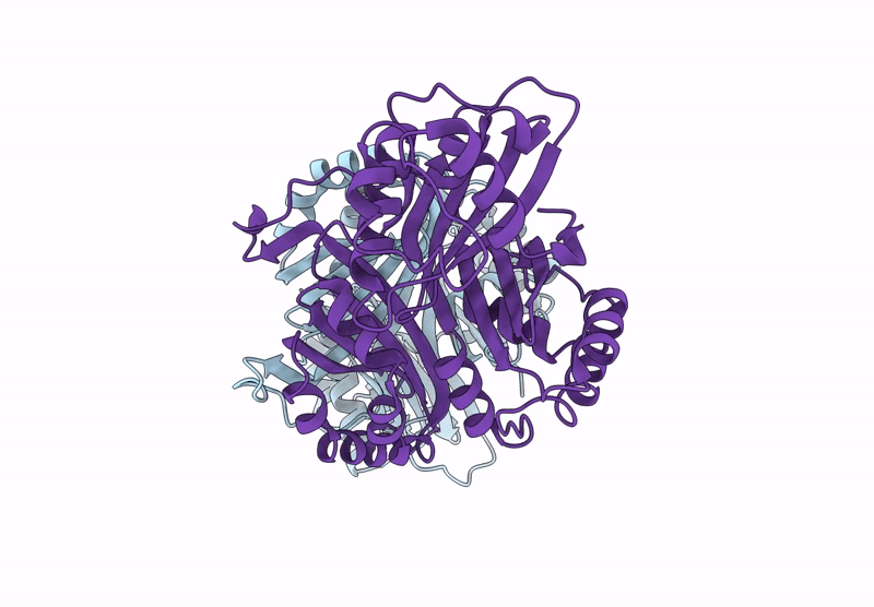 9LMN image