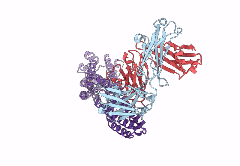 9LMP image