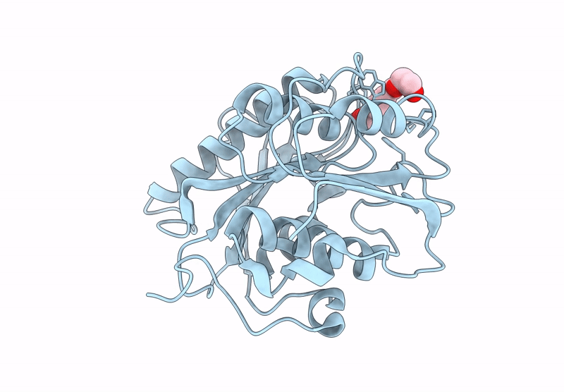 9LMV image