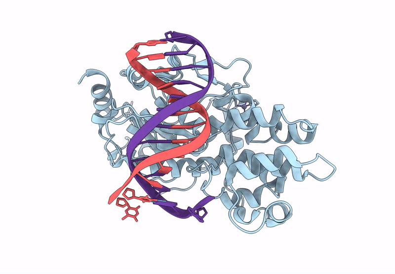 9LNJ image