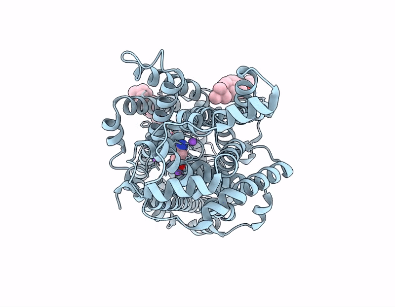 9LNM image