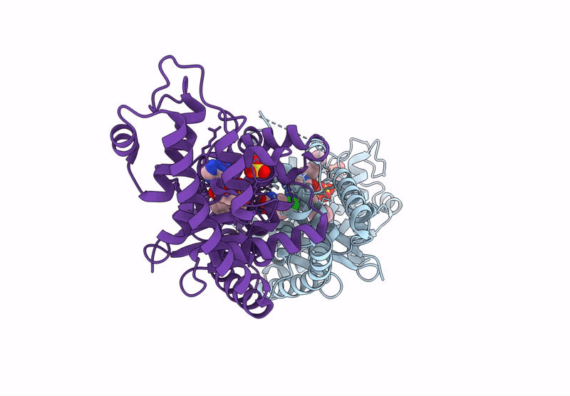9LPD image