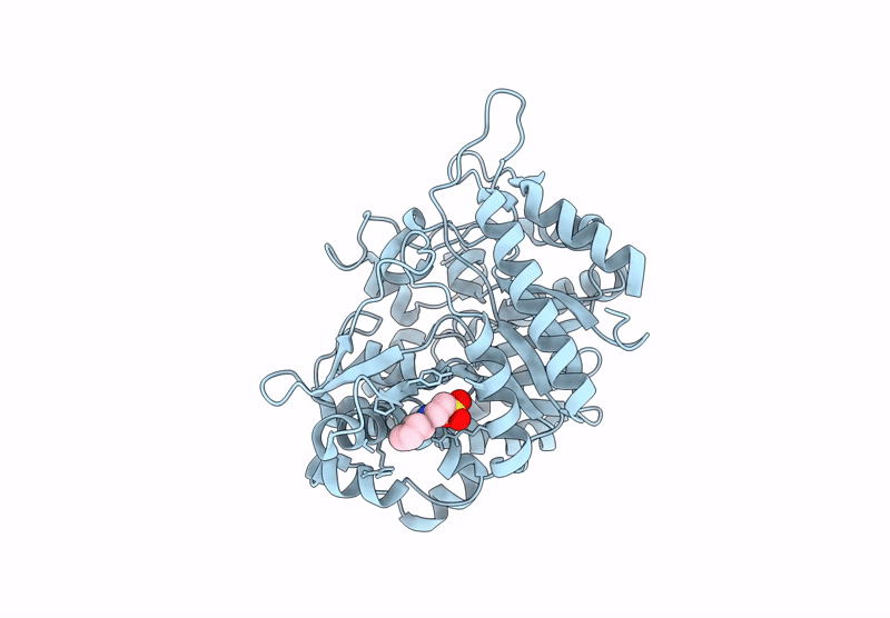 9LPH image