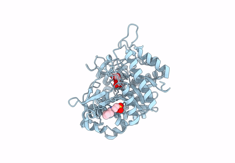 9LPI image