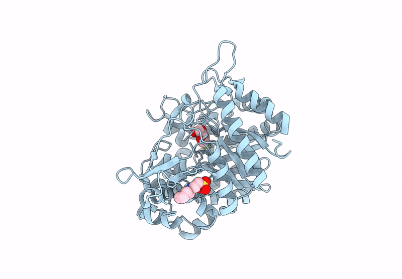 9LPV image