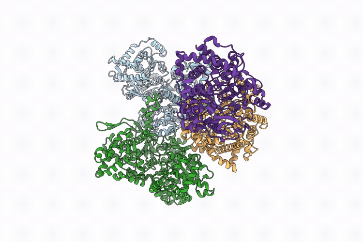 9LPW image