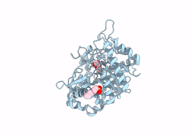 9LPX image
