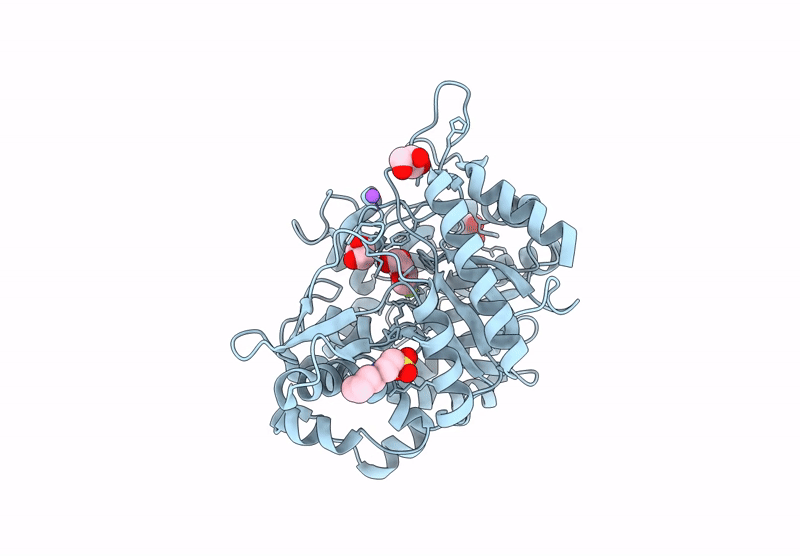 9LPY image