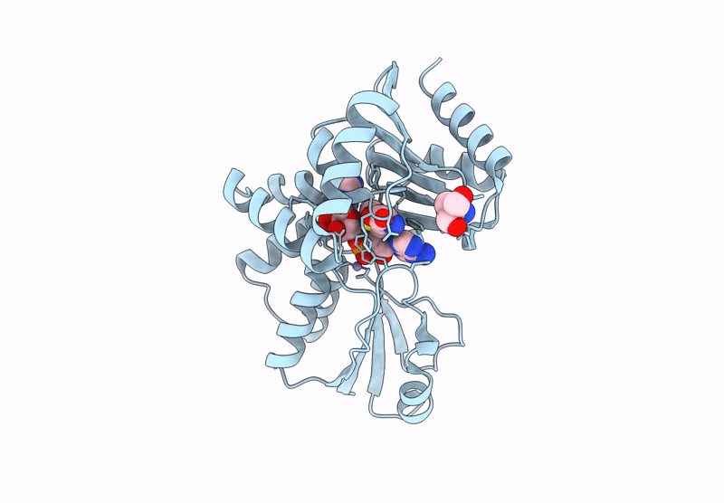 9LQA image