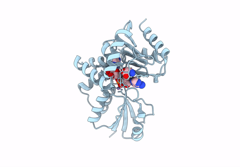 9LQB image