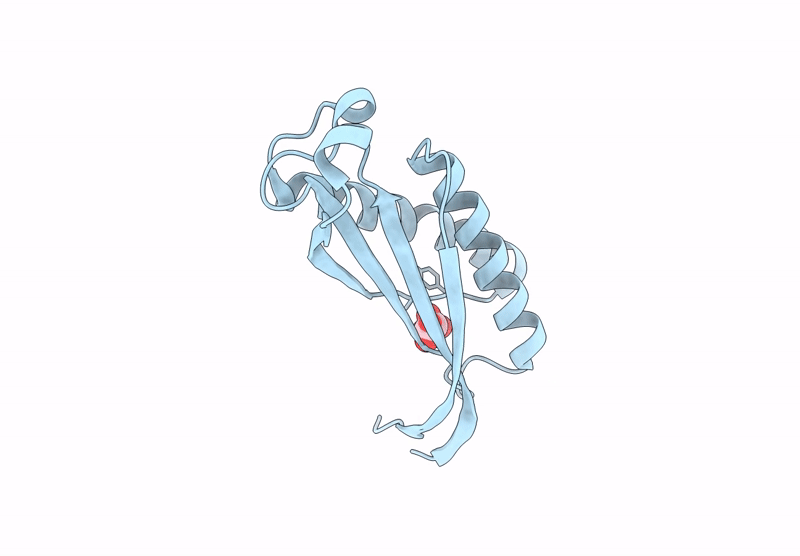 9LQD image