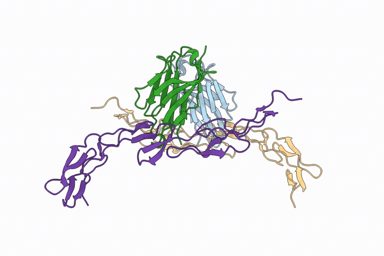 9LQI image