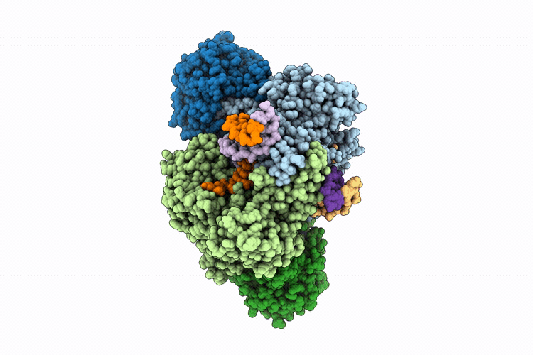 9LQV image