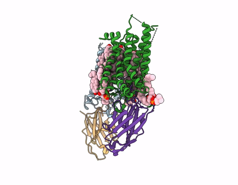9LQX image